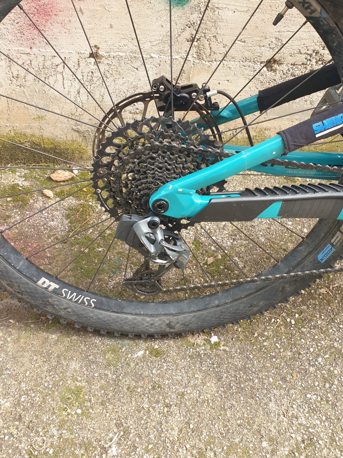 Focus Ebike 1.JPG