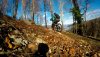 vlcsnap-2019-03-18-19h11m24s597.jpg