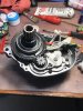 FD363C34-EDC6-4D94-AC39-820067994068.jpeg