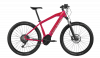 colnago.png