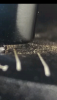 Screenshot_2019-11-08-09-42-11.png