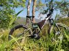 IMG_20170422_095922.jpg