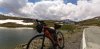 Gavia.jpg