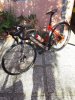 20200725_080807.jpg