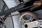 ebike-harley-davidson-2021-trasmissione-03.jpg