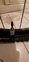 Ruota anteriore 29 WTB