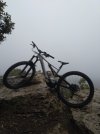 IMG_20211101_094918.jpg