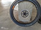 IMG_20220406_112735.jpg