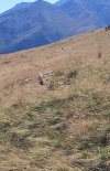 IMG_20220801_185907.jpg