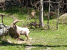 IMG20210520111641.jpg