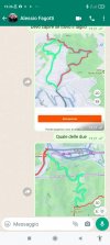 Screenshot_2022-09-13-19-36-42-828_com.whatsapp.jpg