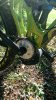 IMG-20171015-WA0006.jpeg