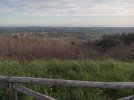 20230326_074114_HDR.jpg