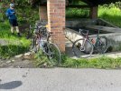 IMG_8946.jpeg