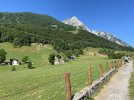 IMG_9811.jpeg