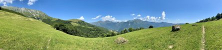 IMG_9825.jpeg