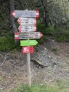 IMG_0547.jpeg