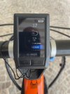 IMG_5166.jpeg