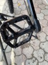 IMG_1661.jpeg