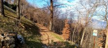 IMG_20231206_122357_075~2.jpg