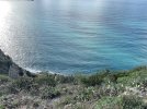 IMG_1229.jpeg