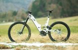 IMG_8663.jpeg