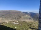 IMG_20240218_105408.jpg