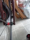 IMG20240316081352.jpg