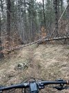 IMG_2557.jpeg