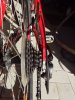 IMG_20171209_105656.jpg