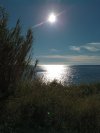 IMG_20241211_123845.jpg