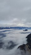 20250125_100316.jpg