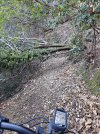 canyon2.jpg