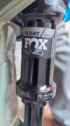 fox2.jpg