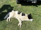 IMG_1975.jpeg