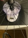 IMG_5822.jpeg