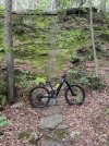 IMG_1985.jpeg