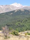 IMG_20250920_113957.jpg
