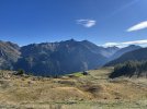 IMG_9175.jpeg