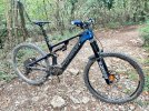 WHISTLE B-RUSH CARBON