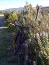 IMG_20251011_085327.jpg