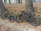 IMG_1103.jpeg