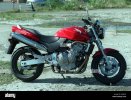 hornet600.jpg
