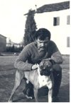 03 dingo.jpg