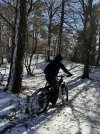 IMG_2555.jpeg