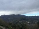 IMG_4710.jpeg