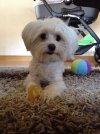 IMG_0731.jpeg