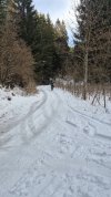 20251130_121916.jpg