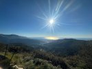 IMG_4737.jpeg