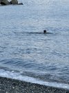 IMG_2761.jpeg